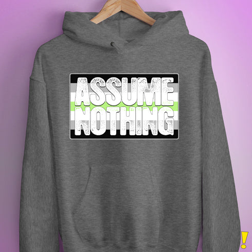 Assume Nothing Agender Pride Flag Hoodie - Grey Heather